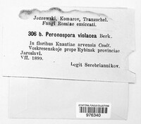 Image Associated With the Occurence